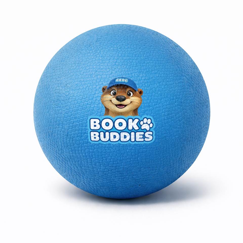 Pelota Geo Playground